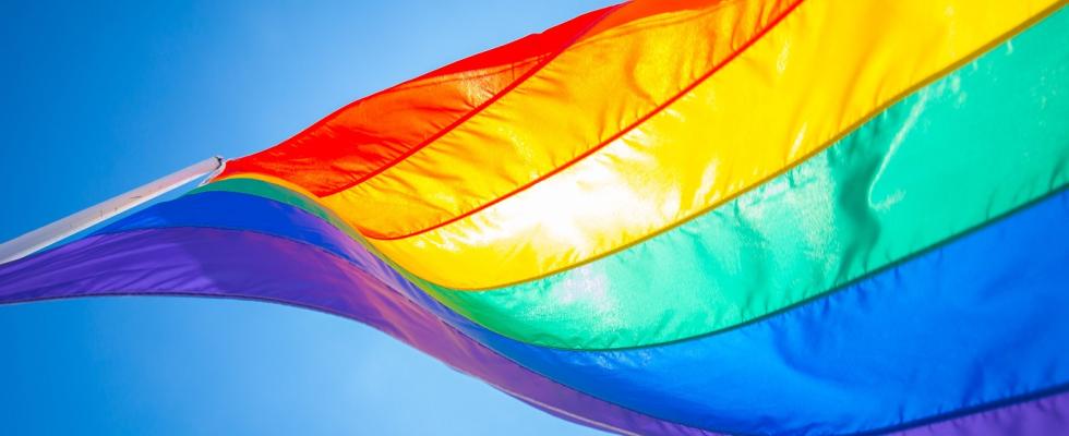 LGBTQ flag