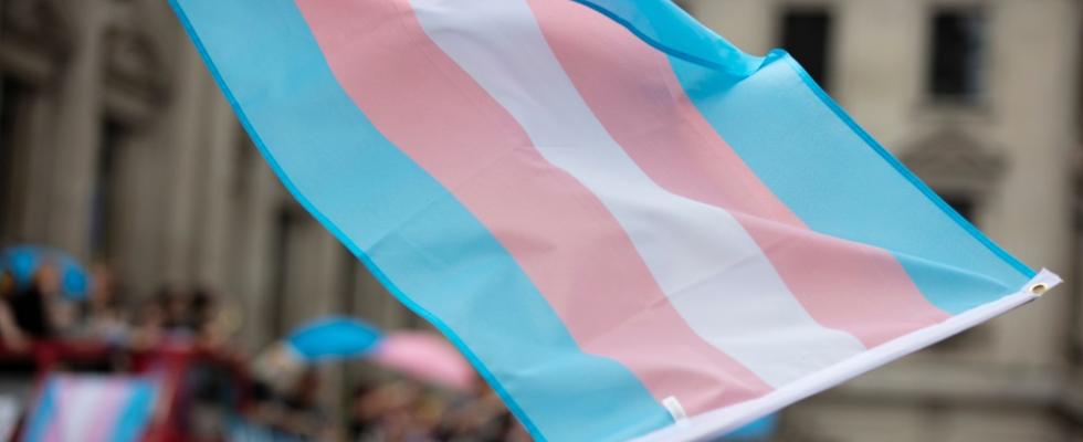 trans flag