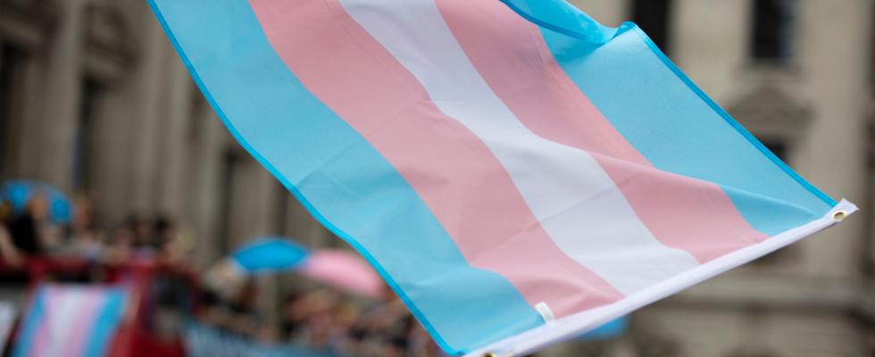 trans flag